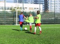 Football team - boys in red and blue, green uniform play soccer on the green field. Team game, training, active lifestyle,
