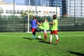 Football team - boys in red and blue, green uniform play soccer on the green field. Team game, training, active lifestyle, Royalty Free Stock Photo