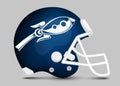 Football team helmet