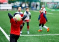 Football teams - boys in red, blue, white uniform play soccer on the green field. boys dribbling. dribbling skills. Team game Royalty Free Stock Photo