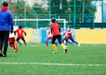 Football teams - boys in red, blue, white uniform play soccer on the green field. boys dribbling. dribbling skills. Team game Royalty Free Stock Photo