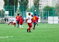 Football teams - boys in red, blue, white uniform play soccer on the green field. boys dribbling. Team game, training, active life