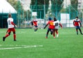 Football teams - boys in red, blue, white uniform play soccer on the green field. boys dribbling. Team game, training, active life