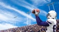 Football Touchdown Catch Royalty Free Stock Photo