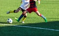 Football training soccer for kids. Boy runs kicks dribbles soccer balls. Young footballers dribble and kick football ball in game. Royalty Free Stock Photo