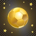 Football 2024 wallpaper winner cup gold soccer ball stars banner sign vector