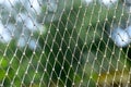 Football White Nylon Nets with Natural Green Background Photograph