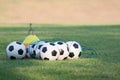 Footballs for training on a grass lawn of sport club