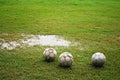 Footballs on a Wet Field Royalty Free Stock Photo