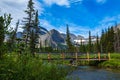 0000298_Footbridge across a stream along the Grinnell Glacier Trail, Glacier National Park, Montana_2589 Royalty Free Stock Photo