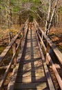 Footbridge on the Appalachian Trail Royalty Free Stock Photo