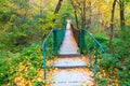 Footbridge in the autumn park