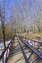 A footbridge at the bottom of a ravine in a forest park