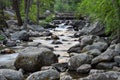 A footbridge crosses the creek at the Woodbine Campground in the Custer Gallatin National Forest, Montana, USA