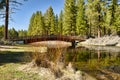 Foot Bridge over Spring Creek Royalty Free Stock Photo