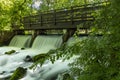 Footbridge and Dam In The Woods Royalty Free Stock Photo