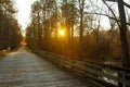 Footbridge in forest at sunset Royalty Free Stock Photo