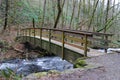 Footbridge in the forest Royalty Free Stock Photo