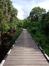 A footbridge in the middle of a forest in Katingan, Central Kalimantan