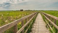 Footbridge in Narew National Park in Poland. Royalty Free Stock Photo