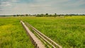 Footbridge in Narew National Park in Poland. Royalty Free Stock Photo