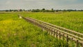 Footbridge in Narew National Park in Poland. Royalty Free Stock Photo