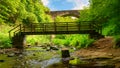 Footbridge over Causey Burn Royalty Free Stock Photo