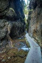 The footbridge over the rocky gorge Dolne diery