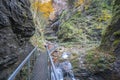 The footbridge over the rocky gorge Dolne diery