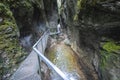 The footbridge over the rocky gorge Dolne diery