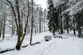 A footbridge over a small river covered of snow in forest Royalty Free Stock Photo