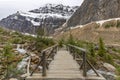Footbridge Over a Stream in the Canadian Rocky Mountains