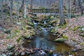 Footbridge Over a Wild Mountain Trout Stream Royalty Free Stock Photo