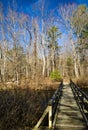 Footbridge over a Woodland Pond