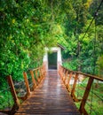 Footbridge at Penang national park, Malaysia