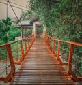 Footbridge at Penang national park, Malaysia