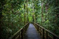 Footbridge in a rainforest, Sandakan, Borneo, Malaysia Royalty Free Stock Photo