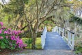 Footbridge in Southern Garden South Carolina Azalea Royalty Free Stock Photo