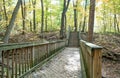 Footbridge and Stairs in Autumn Forest Royalty Free Stock Photo