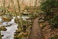 Footbridge, Stone Path, Frozen Creek Royalty Free Stock Photo