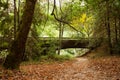 A stone footbridge in the woods in California Royalty Free Stock Photo