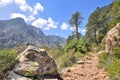 Footh path in mountain in Corsica Royalty Free Stock Photo