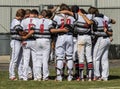 Foothill Cougars