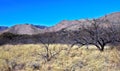 Kartchner Caverns State Park in Benson, Arizona Royalty Free Stock Photo