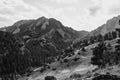 NCAR trails on a warm, Summer day Royalty Free Stock Photo