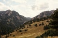 NCAR trails on a warm, Summer day Royalty Free Stock Photo