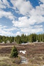 Foothills of Rocky Mountains with pine trees, Colorado, USA Royalty Free Stock Photo