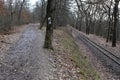 Foothpath and railway in the forest in fall Royalty Free Stock Photo