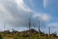 Foothpath on Sumava mountain from hill Plechy. Czech landscape, nature reserve Royalty Free Stock Photo