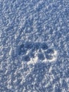 Foothsteps in the Frisian snow